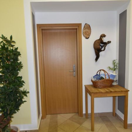 Apartments And Rooms Kod Eli Равна-ґора Екстер'єр фото